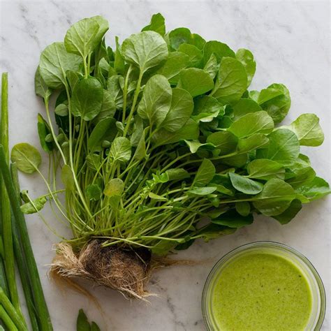 Organic+Watercress+Nasturtium+Officinale+-+200+Seeds | Nasturtium, Food ...