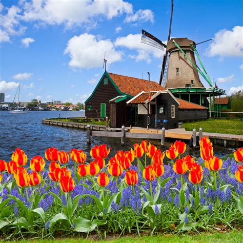 dutch windmill of Zaanse Schans | The Edge