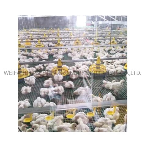 New Design Steel Prefab House Livestock Turkey Farming Equipment ...