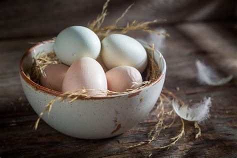 Premium Photo | Good free range eggs with hen feathers