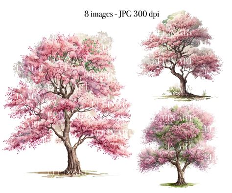 Cherry Tree Watercolor Clipart, Cherry Tree Clipart, Sakura Tree ...