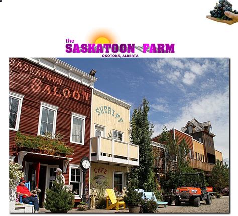 Saskatoon Farm