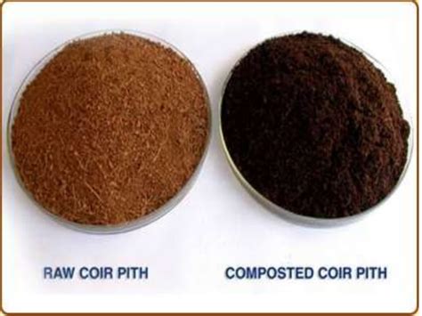 Coir pith compost | PPT