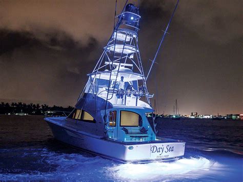 Light It Up: Underwater Lighting Solutions | Marlin