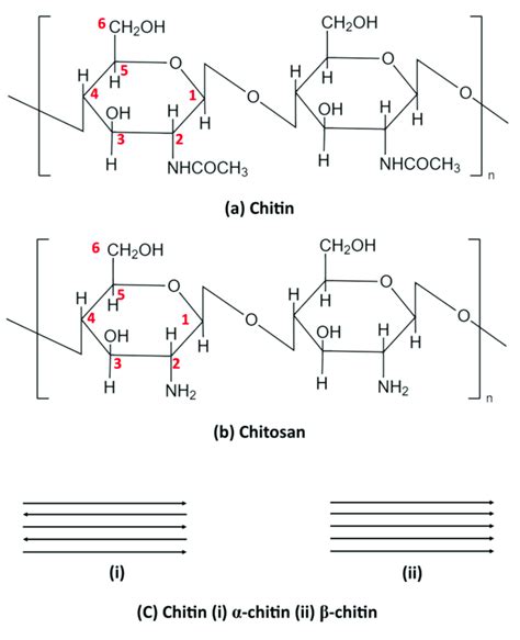 Chemical structure of (a) chitin and (b) CS (c) α-and β-chitin ...