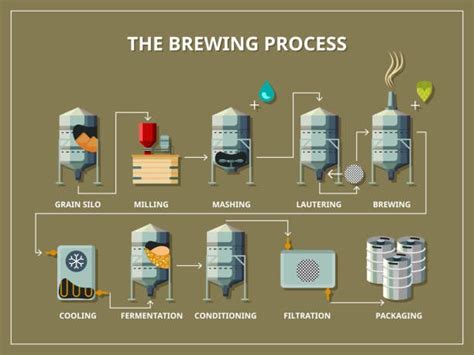 Beer Brewing Process | Brewery Equipment Manufacturer In India | by Promo Prodeb | Medium