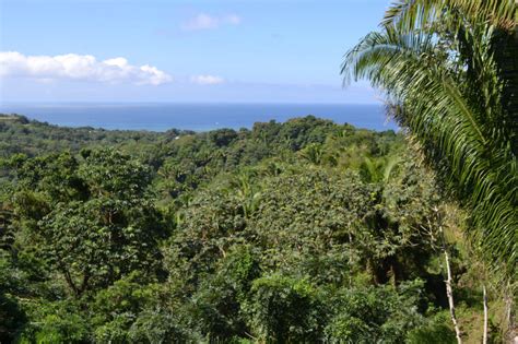 Pico Bonito National Park | Roatan Honduras Travel Guide