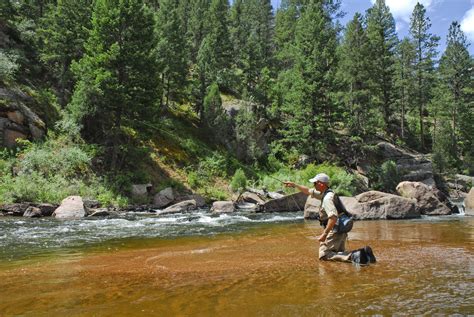 Water Temperatures Getting Warm at Deckers and in Cheesman Canyon with the Reservoir Spilling ...