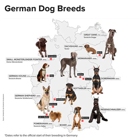 German Dog Breeds