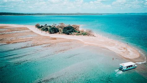 Discovering Hervey Bay with Hervey Bay Eco Marine Tours · The Global Wizards - Travel Blog