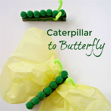 Caterpillar To Butterfly Craft