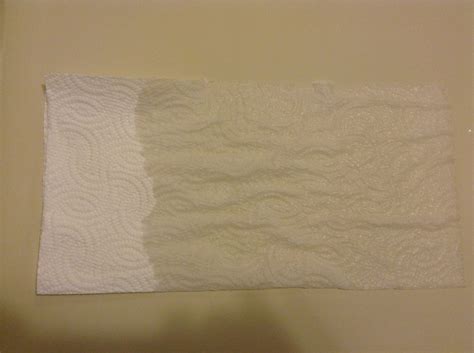 Results - Which brand of paper towel absorbs the most water