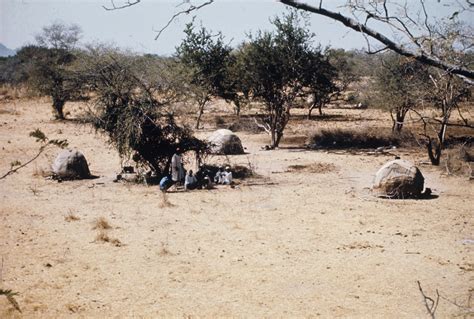 Ethnic Groups « Darfur Before