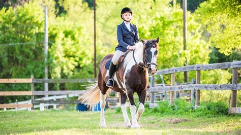 Horseback Riding in Austin: Horse Riding Lessons For Adults and Kids ...