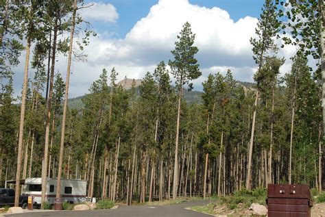 Common Trees of the Rocky Mountains - Jake's Nature Blog