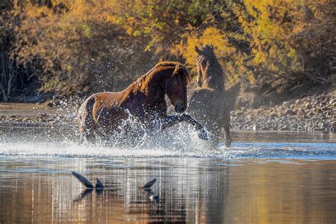 Water Fight Photograph by Jenn Bakker - Breathtaking Moments Photography - Pixels