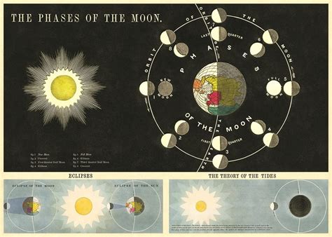 Phases of the moon / cosmic vintage chart poster print – Six Things