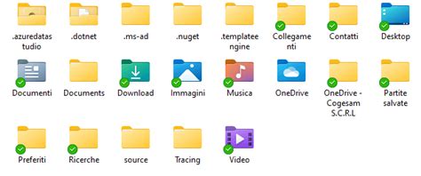 User file folder icon in Windows 11 - Microsoft Community