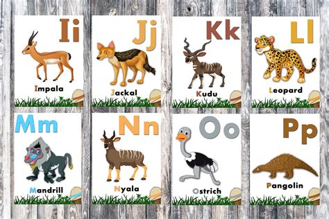 Animal Alphabet Flashcards-Jungle Wild Zoo Animals Kids | Etsy