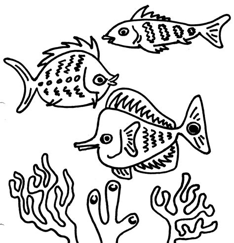 Fish Outline Clipart Black And White | Sexiz Pix