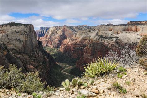 Observation Point Trail: Best Hike in Zion National Park, Utah