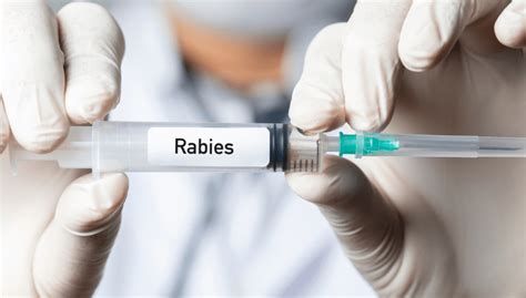 Protect yourself against Rabies - Shivas Pharmacy