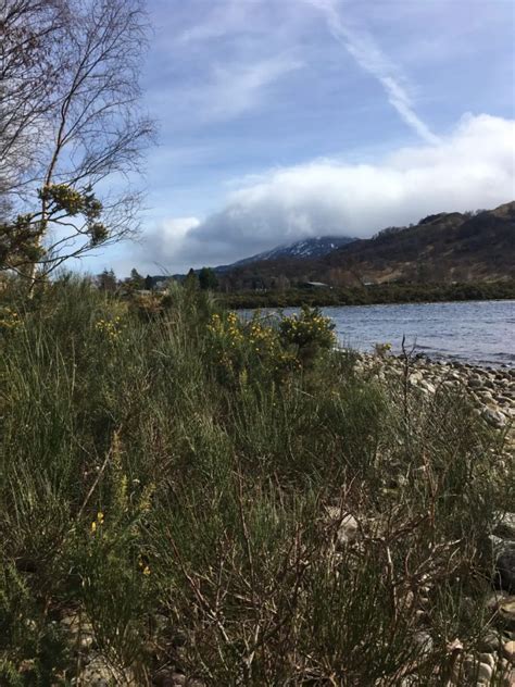 My DIY Writing Retreat on Loch Rannoch - Amanda Walkins