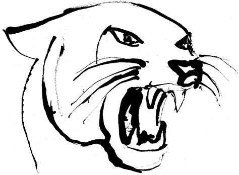 Roaring Panther Drawing