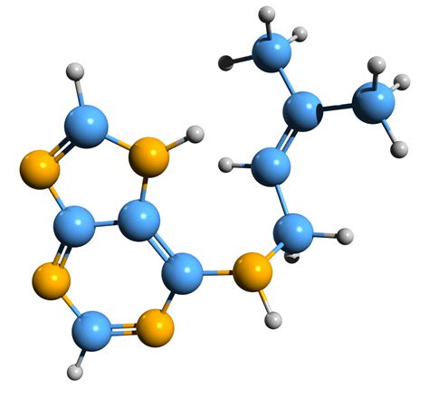 Phytohormones 101: Everything you Need to Know - Dr. Robert Kiltz