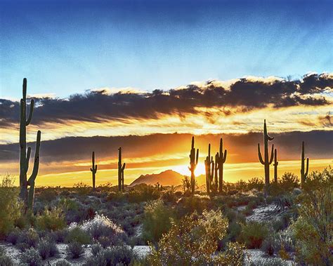 Arizona Sunrise And Saguaro Photograph by Don Schimmel - Pixels