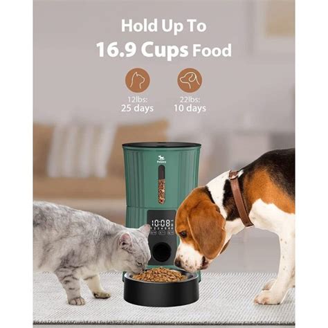 Automatic Programable Timed Cat Food Dispenser - CatGlamour.com