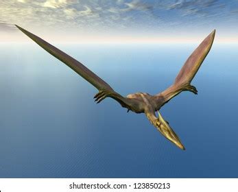 Flying Dinosaur Quetzalcoatlus Computer Generated 3d Stock Illustration 123850213 | Shutterstock