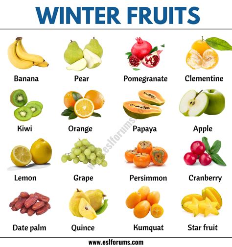 33 Winter Fruits: Different Types of Fruits You Can Find in the Winter ...