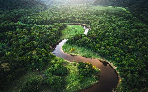 Amazon Rainforest Wallpaper (69+ images)