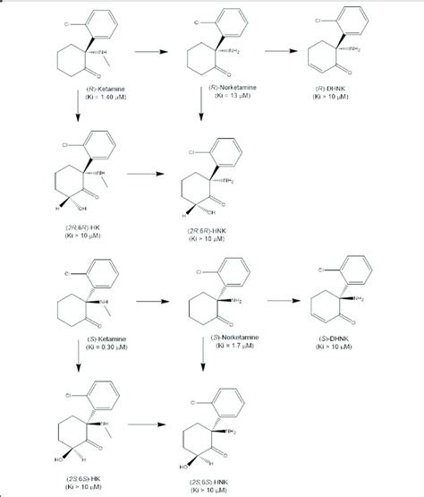 Chemical structure of enantiomers of ketamine and its metabolites.... | Download Scientific Diagram