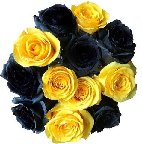 Mixed Black and Yellow Roses – Flower Explosion