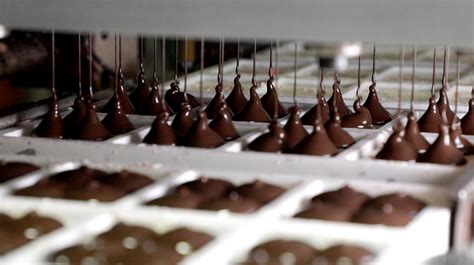 The Dish | Long (Assembly) Line of Chocolate Manufacturing Innovations