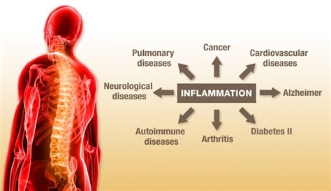 Body inflammation causes obesity