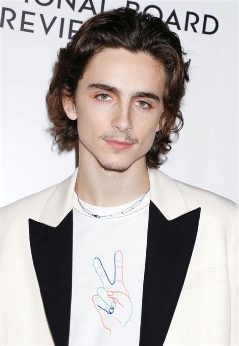 Timothee Chalamet's Mustache, Fan Reactions