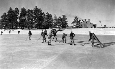 The Willistonian, Est. 1881 : A Brief History of Hockey