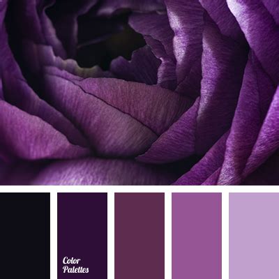 purple hues | Color Palette Ideas