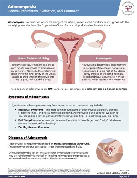 Adenomyosis - Symptoms, Diagnosis, and Treatment Options (PDF)