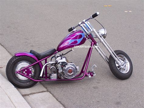 Mini Chopper Gas Powered | hedhofis.com