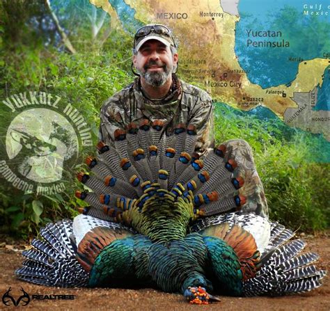 Steve Hickoff: Ocellated Turkey Hunting Photo Essay