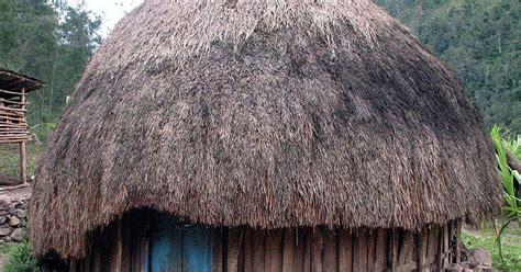 Papua On The Map: HONAI (House of Papuan's Tribe)