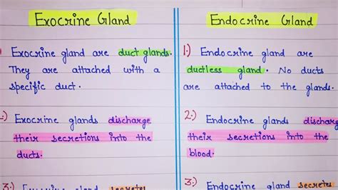 Endocrine Gland Vs Exocrine Gland