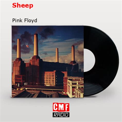 La historia y el significado de la canción 'Sheep - Pink Floyd