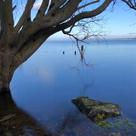 Lough Neagh Stock Photos, Pictures & Royalty-Free Images - iStock