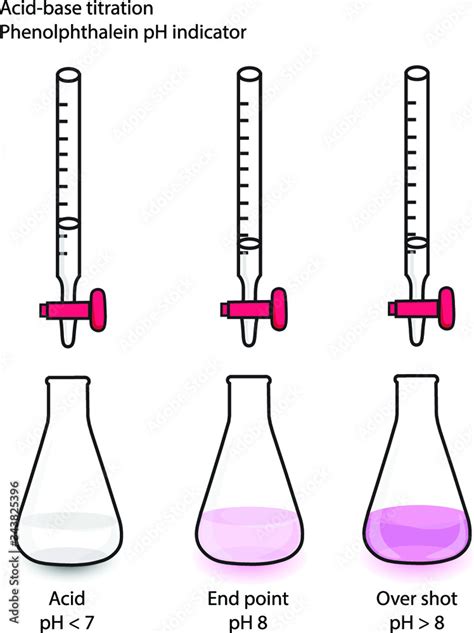 Acid-base titration and phenolphthalein indicator Stock Vector | Adobe Stock