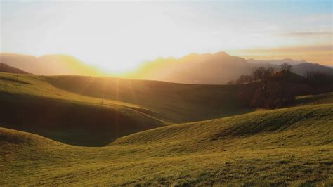 Green Grass Field During Sunset · Free Stock Photo